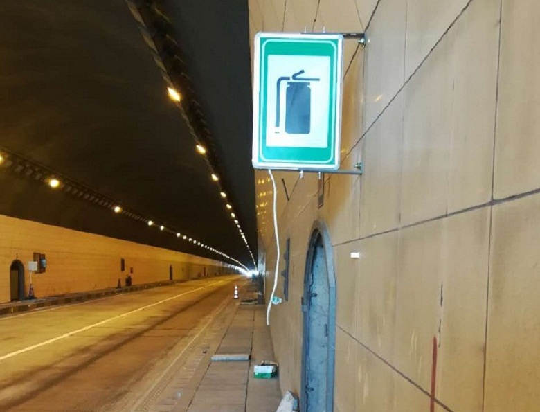 福建甘芳亭亭玉立國色